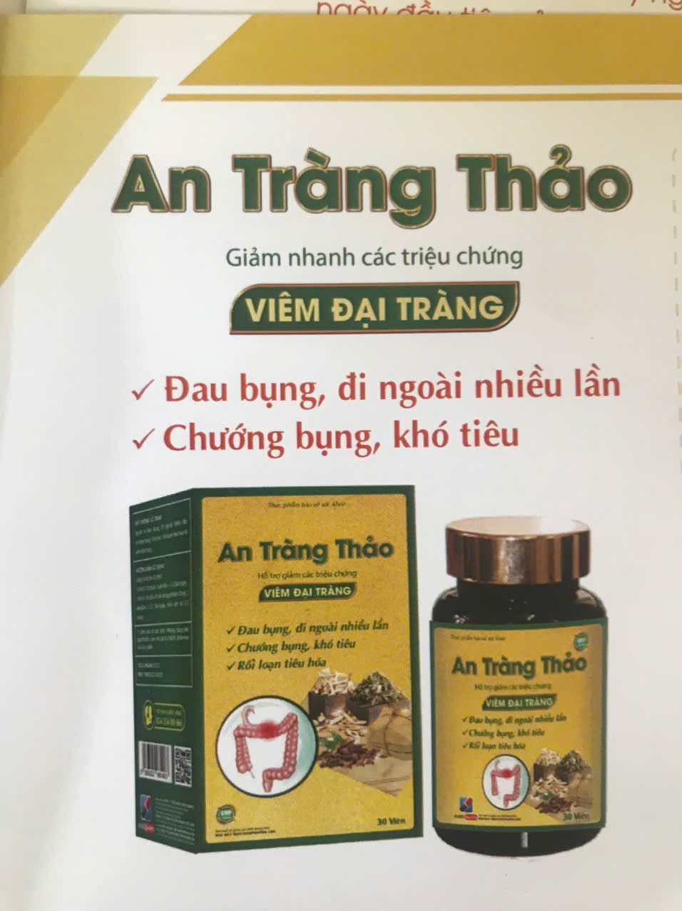 AN TRÀNG THẢO